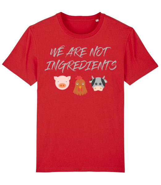 Vegetarian - Men's Organic T-Shirt Stanley Stella - Red - Front